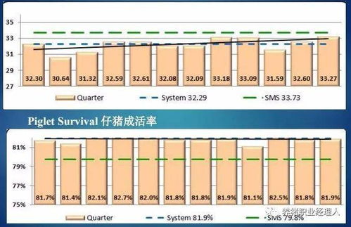 四周批生产模式的建立 2